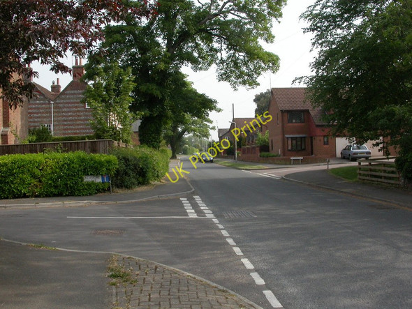 Photo 6"x4" Sixpenny Handley, Dean Lane Sixpenny Handley c2011
