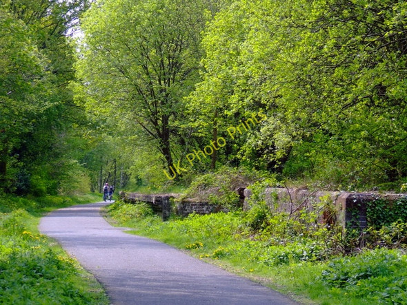 Photo 6"x4" National Cycle Network Route 7 Tandlehill c2011