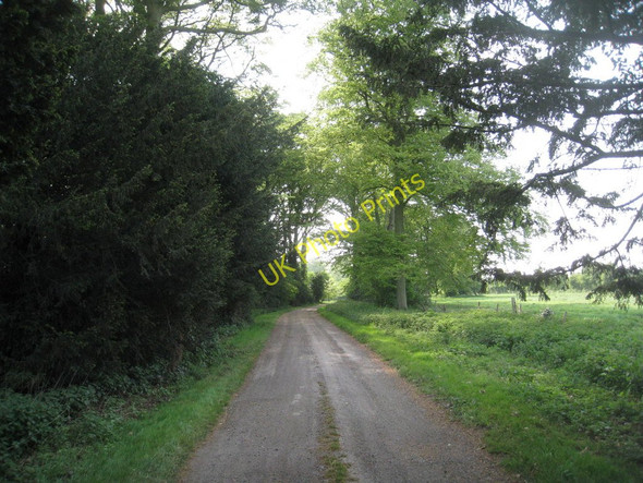 Photo 6"x4" Entrance to Melton High Wood Melton Ross c2011