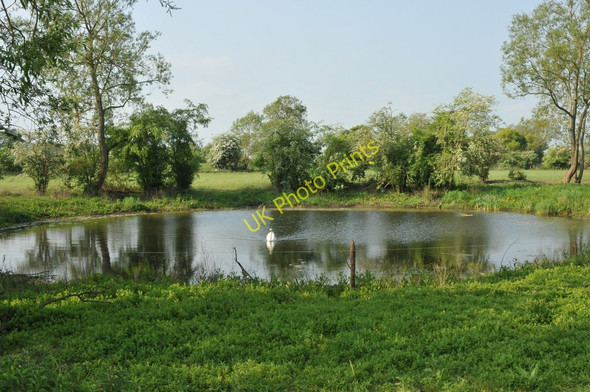 Photo 6"x4" Pool beside the Thames Path Castle Eaton c2011