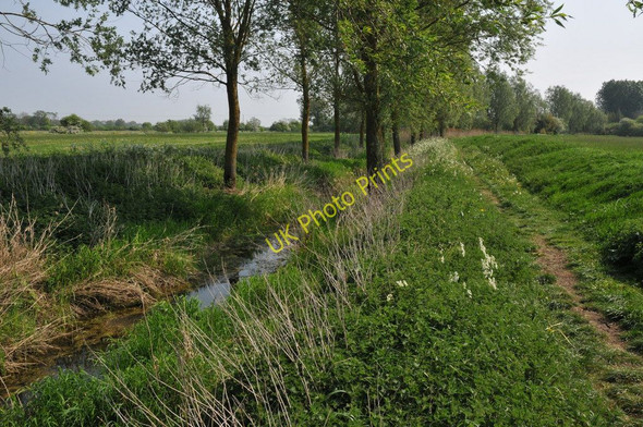 Photo 6"x4" Thames path near Hannington Wick Hannington Wick c2011