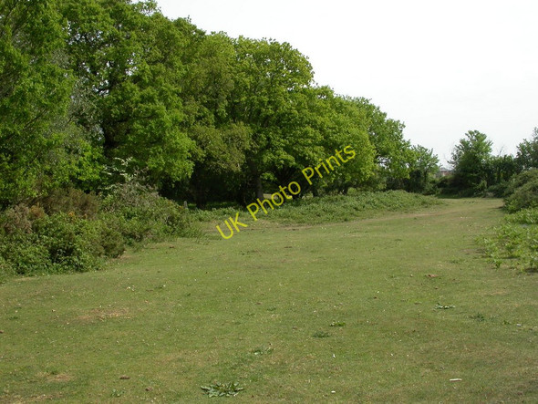 Photo 6"x4" Kingston North Common Kingston\/SU1402 c2011