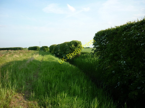Photo 6"x4" Farmland near Old Little Humber Farm Ryehill\/TA2225 c2011