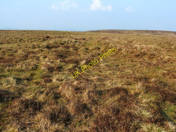 Photo 6"x4" Ancient trackway Bonhill c2011