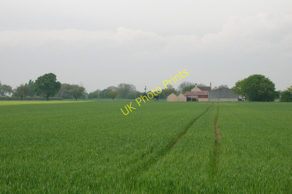 Photo 6"x4" Farmland near Gateforth Grange Chapel Haddlesey c2011