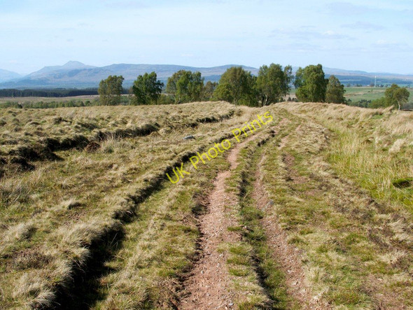 Photo 6"x4" Moorland track Craighat c2011
