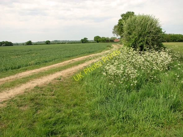 Photo 6"x4" Public footpath from Silfield Road to Park Farm, Silfield Wymondham\/TG1101 c2011