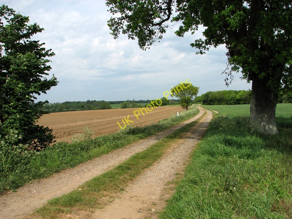 Photo 6"x4" Farm track north of the A11 road, Silfield Wymondham\/TG1101 c2011