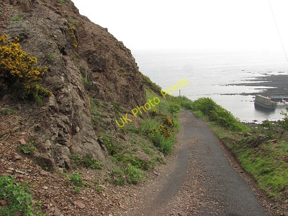 Photo 6"x4" Road to Partanhall Burnmouth\/NT9561 c2011