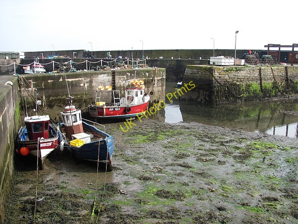 Photo 6"x4" Burnmouth Harbour Burnmouth\/NT9561 c2011