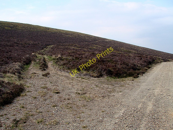 Photo 6"x4" Track junction at Waun To Foel Uchaf\/SN8091 c2011