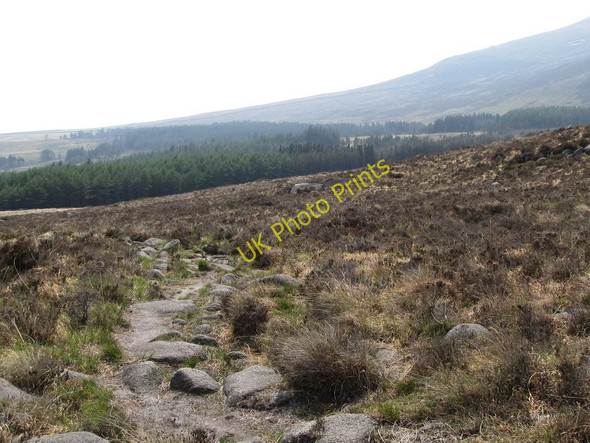 Photo 6"x4" The Annalong Valley Path above Annalong Wood Annalong c2011
