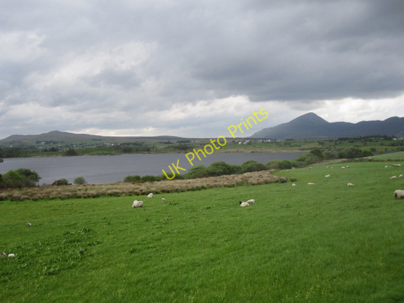 Photo 6"x4" Rich sheep pasture on the east side of Lough Moher; Croag Patrick in the distance Liscarney c2011