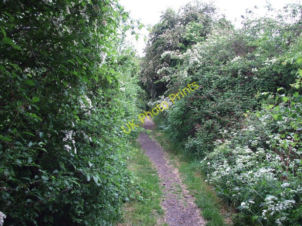 Photo 6"x4" Footpath, Sturminster Marshall Sturminster Marshall c2011