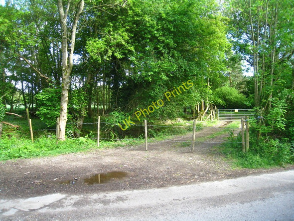 Photo 6"x4" Two lines of defence Heather Row c2011