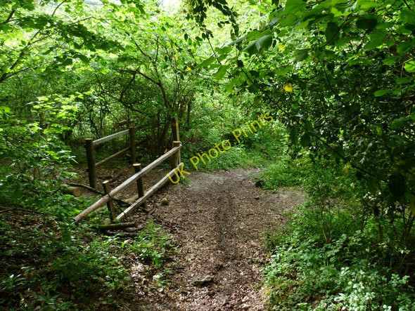 Photo 6"x4" Resting place East Lavington c2011