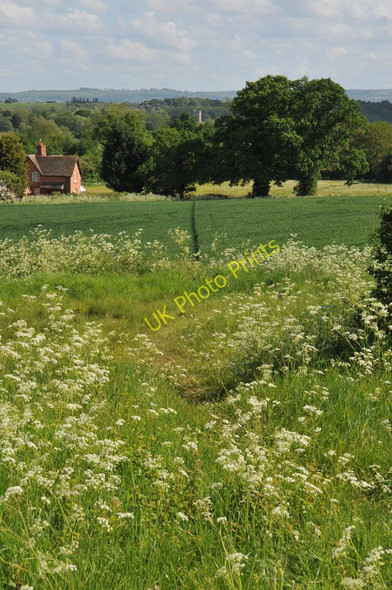 Photo 6"x4" Footpath to Salford Priors Salford Priors c2011