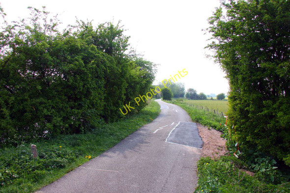 Photo 6"x4" The Thames Path west of Tadpole Bridge Buckland Marsh c2011