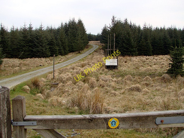 Photo 6"x4" Forestry road at Esgair y Ffordd Llechwedd Diflas c2011