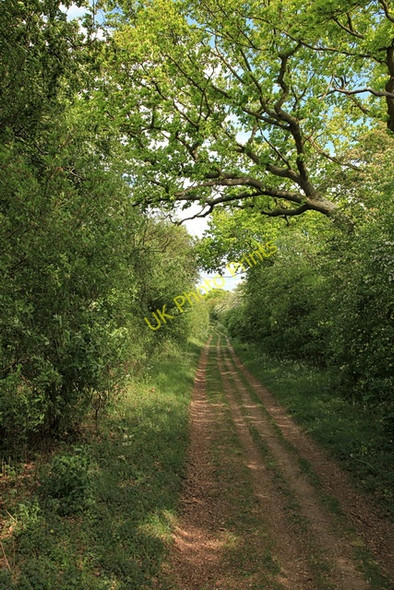 Photo 6"x4" Byway along Roman Road Balsam c2011