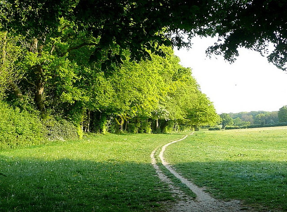 Photo 6"x4" Footpath to Stony Green Prestwood\/SP8700 c2011