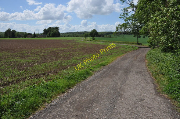 Photo 6"x4" Road to Rose Cottage Cock Bevington c2011