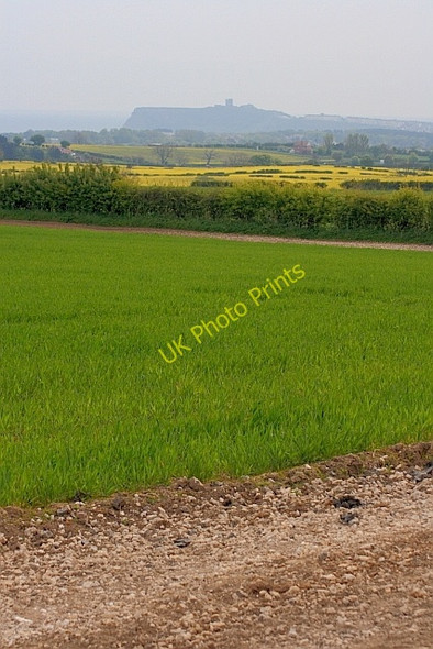 Photo 6"x4" Corner of Wheat Field Burniston c2011
