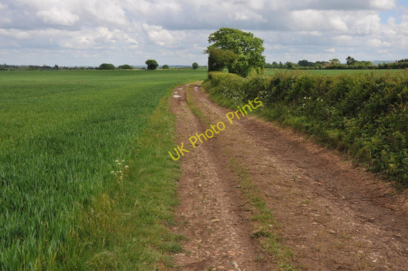 Photo 6"x4" Track to Cock Bevington Morton Spirt c2011
