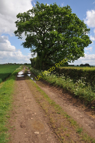 Photo 6"x4" Track to Cock Bevington Morton Spirt c2011 P1