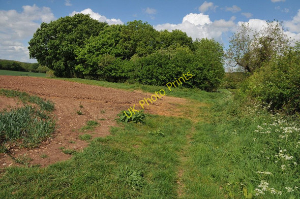Photo 6"x4" Site of a disused pit Wood Bevington c2011