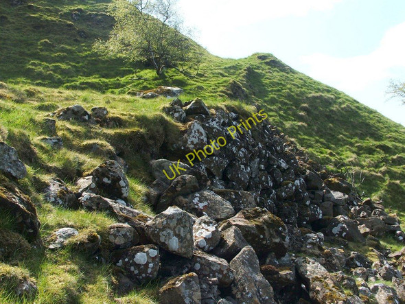 Photo 6"x4" Lady Overtoun's Walk Milton\/NS4274 c2011