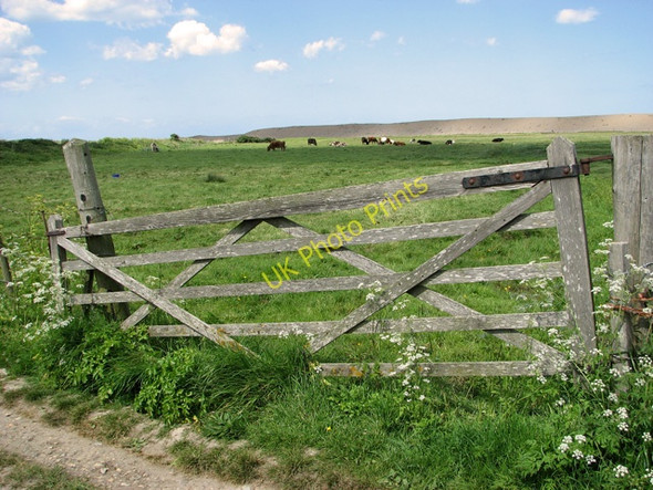 Photo 6"x4" Gate into cattle pasture by The Quag Kelling c2011