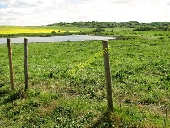 Photo 6"x4" Kelling Water Meadow Kelling c2011
