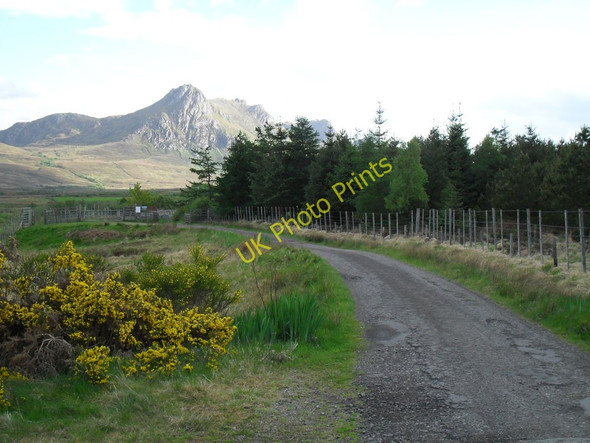 Photo 6"x4" Ben Loyal starting point Hysbackie c2011