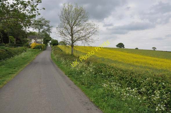 Photo 6"x4" Road to Hartpury Woolridge c2011