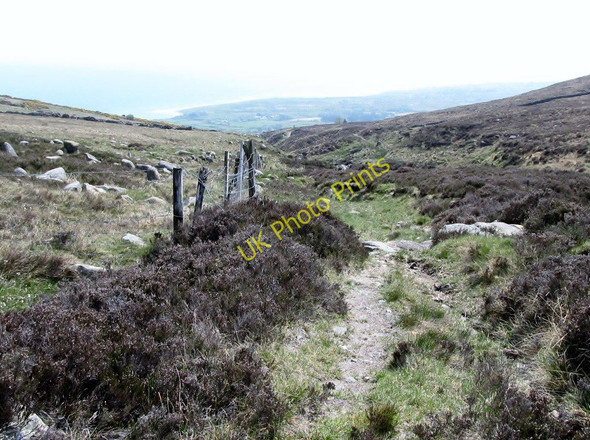 Photo 6"x4" The descending Spences River Path Annalong c2011