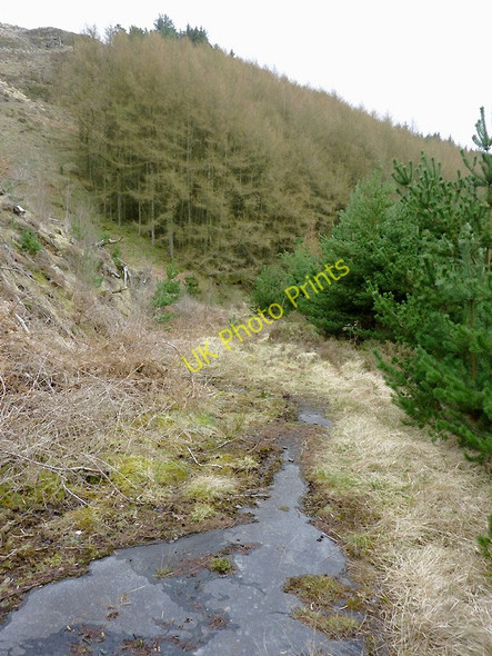 Photo 6"x4" The end of the road in Cwm Camddwr, Ceredigion Llyn Brianne\/SN7951 c2011