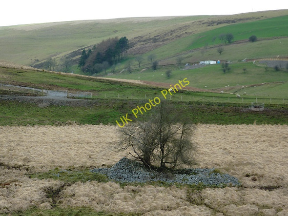Photo 6"x4" Ruins and Cwm Nant-llwyd, Ceredigion Cnwch Rhiwhalog c2011