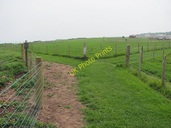 Photo 6"x4" Berwickshire Coast Path, Marshall Meadows Marshall Meadows c2011