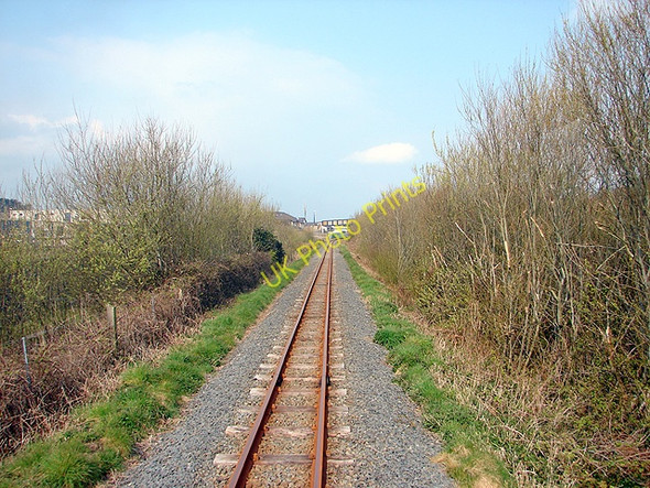Photo 6"x4" Vale of Rheidol Railway Aberystwyth c2008