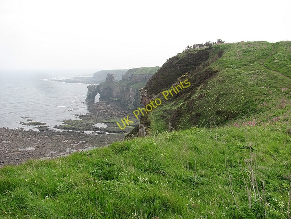 Photo 6"x4" Berwickshire Coast Path Highfields\/NT9954 c2011