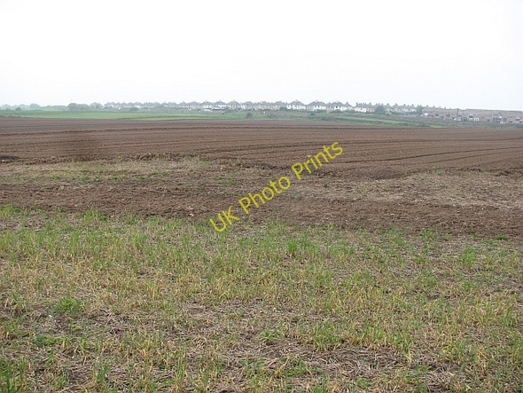 Photo 6"x4" Arable land, Berwick Berwick-upon-Tweed c2011
