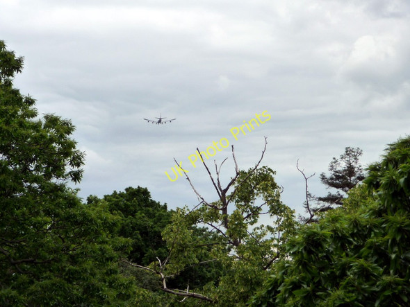 Photo 6"x4" View from Xstrata Tree Walk, Kew Gardens Brentford c2011