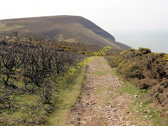 Photo 6"x4" On the Coastal Footpath Looking Towards Great Hangman Trentishoe c2011