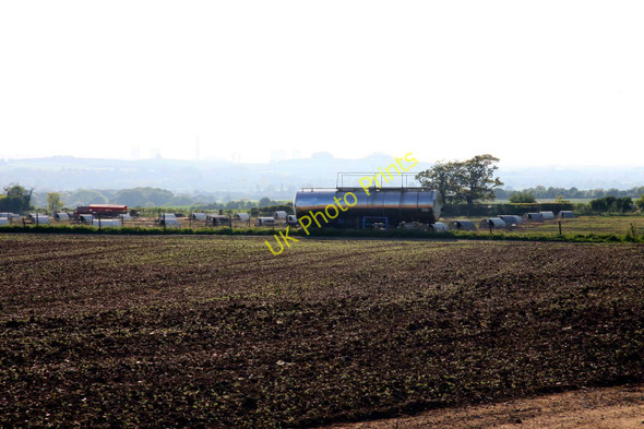 Photo 6"x4" Pig farm on the hill Ewelme c2011