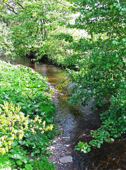 Photo 6"x4" The South Queich Water near Balado Dalqueich c2011