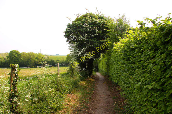 Photo 6"x4" The bridleway to Forest Hill Sandhills\/SP5607 c2011