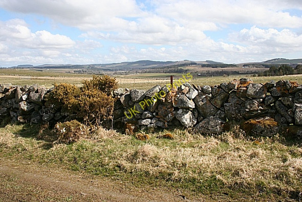 Photo 6"x4" Drystane Dyke Ruthven\/NJ5046 c2008