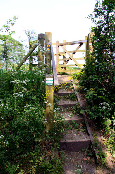 Photo 6"x4" Steps to the footpath Forest Hill\/SP5807 c2011
