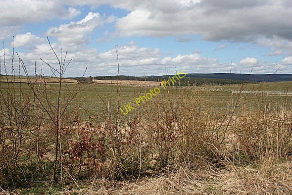 Photo 6"x4" New Hedgerow Ruthven\/NJ5046 c2008